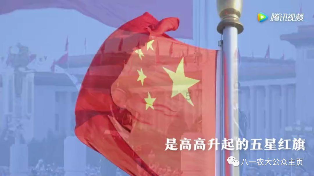 红色鹦鹉逃脱